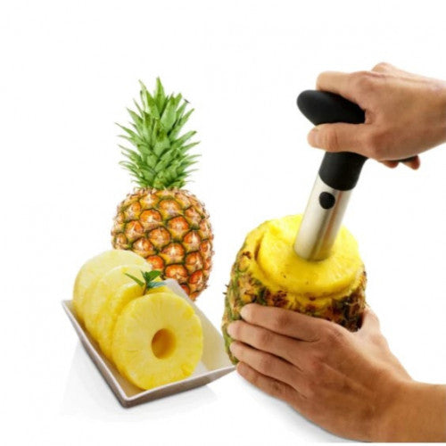 REMOVEDOR DE PULPA DE PIÑA EASYEXTRACTOR